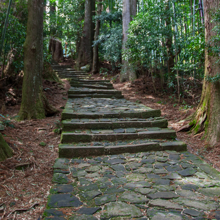Stone-paved steps climbing through forest on the Kumano Kodo trail