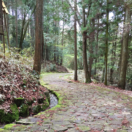 Moss-covered stone path through forest on the Nakasendo trail